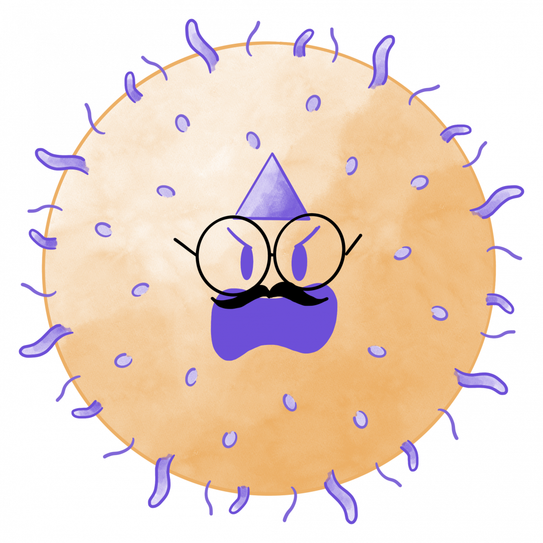 Invader with slight difference but contains the same antigen