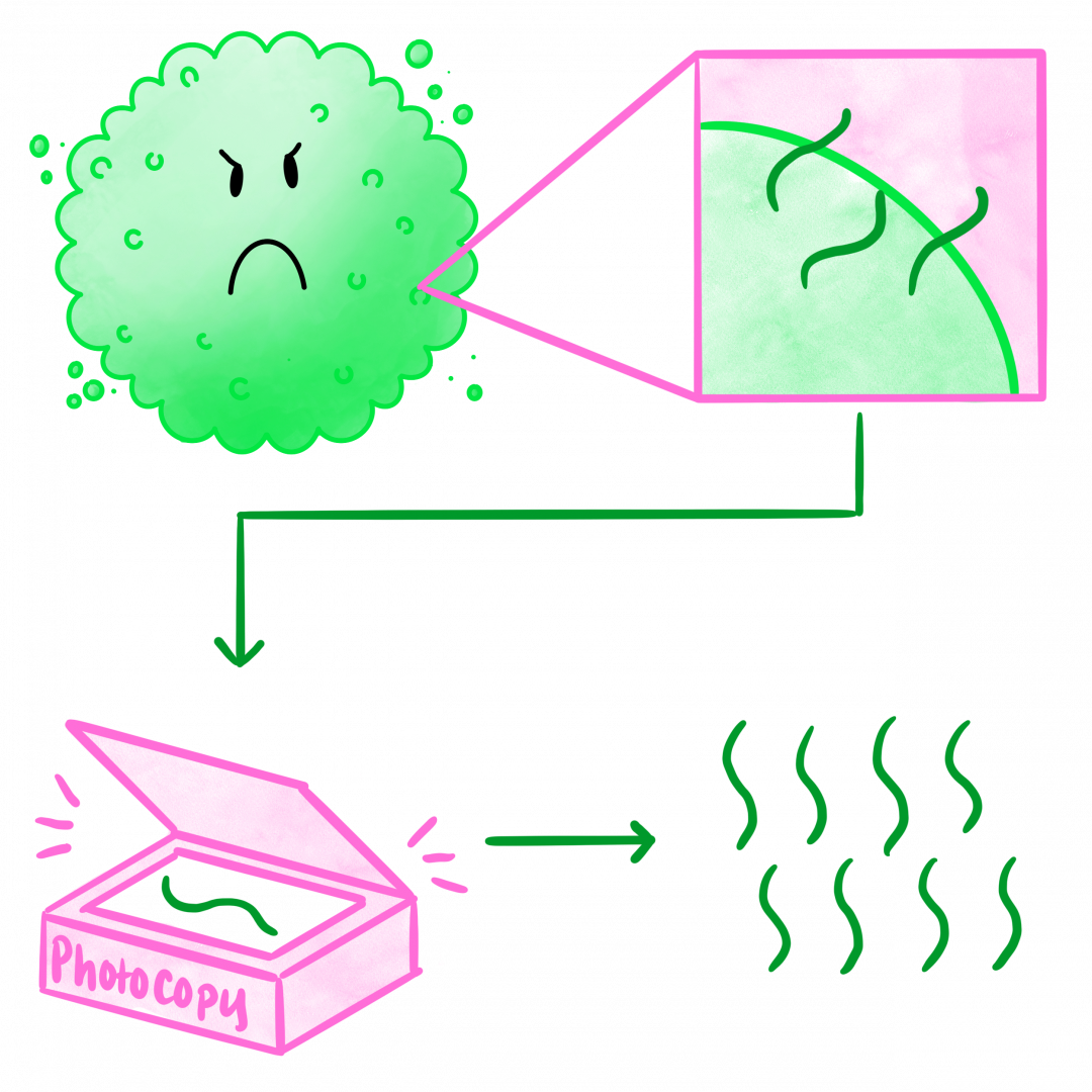 Types of Vaccines | Vax Fax