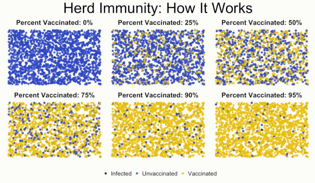 Herd Immunity Image